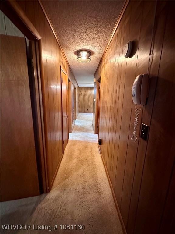 105 7th St, Paris, AR 72855 - hall featuring wood walls, light colored carpet, and a textured ceiling