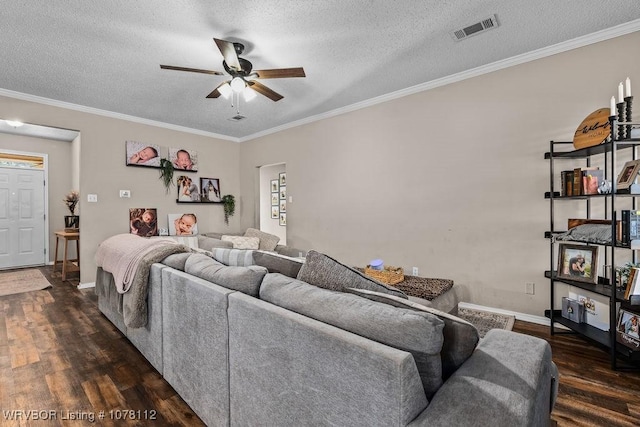 living room featuring dark wood-type flooring, a textured ceiling, and ornamental molding