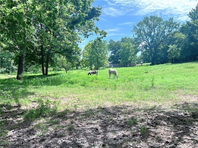 4726 Furry Rd, Van Buren, AR 72956 - photo 19