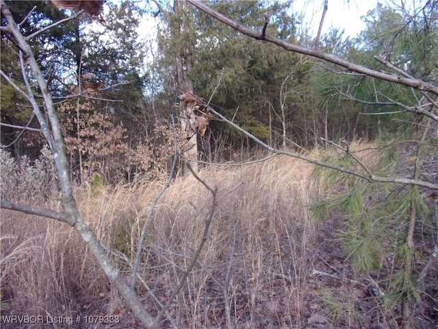 Listing photo 2 for TBD Lee Point Rd, Ozark AR 72949