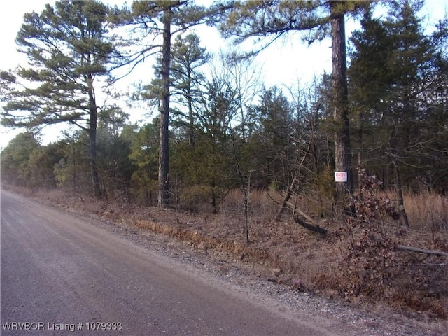 Listing photo 3 for TBD Lee Point Rd, Ozark AR 72949