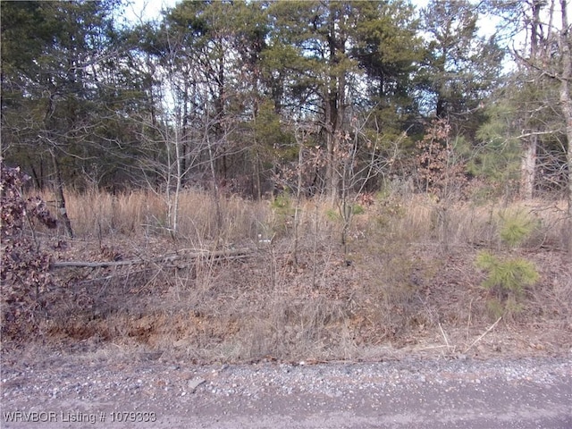 TBD Lee Point Rd, Ozark AR, 72949 land for sale