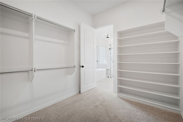 7627 Woodbine Ln, Fort Smith, AR 72916 - walk in closet with carpet flooring