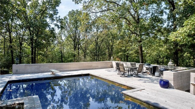 view of pool with a diving board and a patio