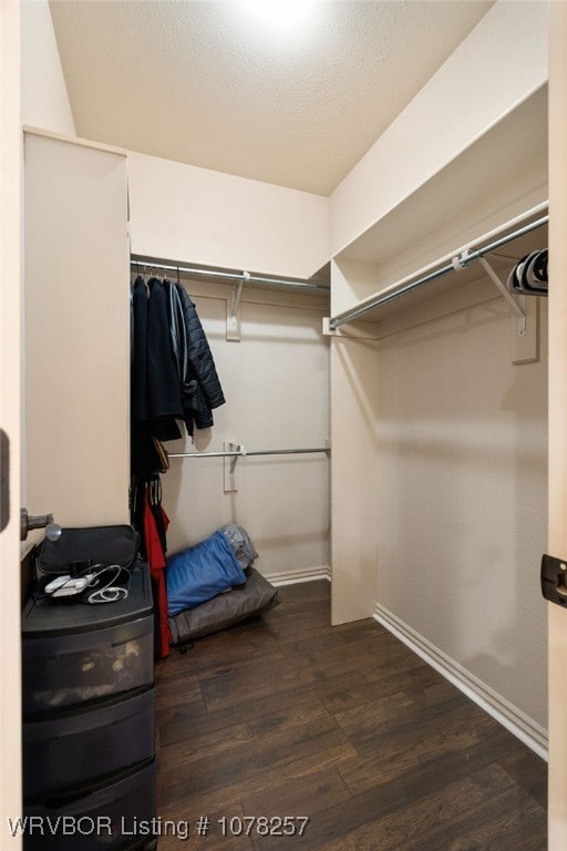 walk in closet with dark hardwood / wood-style flooring