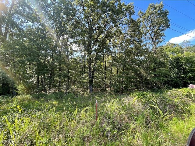 466301 E 931st Rd, Bunch, OK 74931 - photo 17