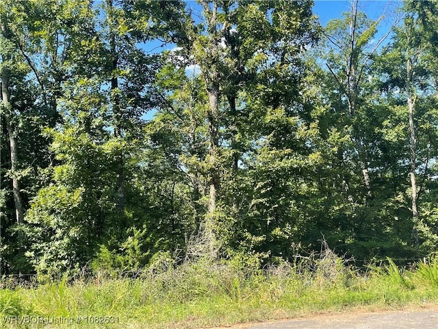 466301 E 931st Rd, Bunch, OK 74931 - photo 14