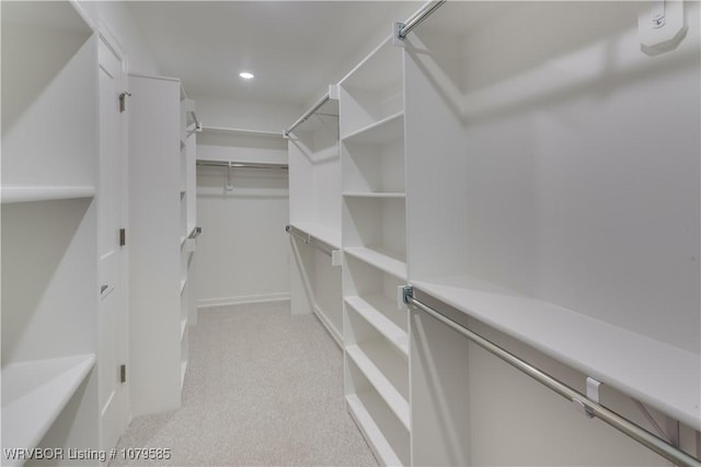 walk in closet with light colored carpet