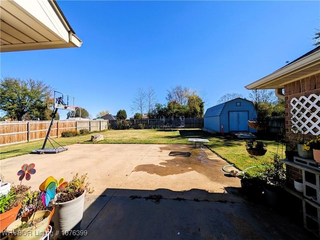 view of yard with a patio and a storage shed