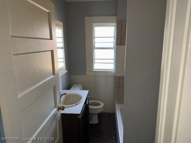 bathroom with vanity, plenty of natural light, a tub, and toilet