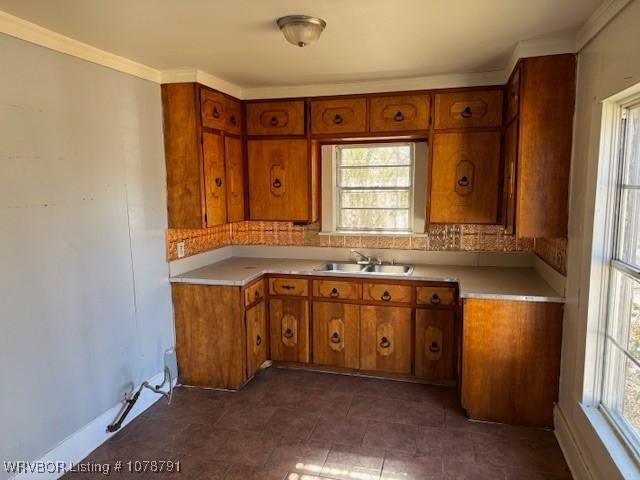 kitchen with tasteful backsplash, crown molding, and sink