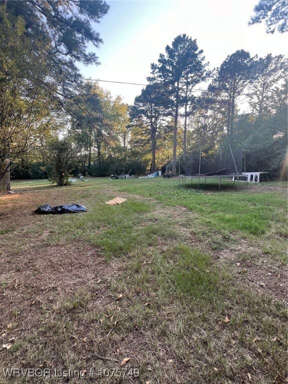 view of yard with a trampoline