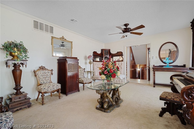 living area featuring a textured ceiling, light colored carpet, and crown molding