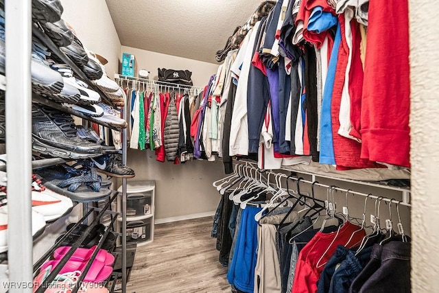 spacious closet with wood-type flooring