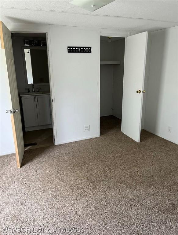 unfurnished bedroom featuring carpet flooring, a spacious closet, sink, and a closet