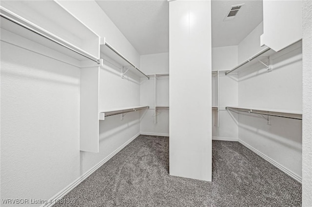937 Forrest Park Way, Greenwood, AR 72936 - spacious closet featuring carpet floors