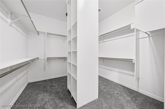 937 Forrest Park Way, Greenwood, AR 72936 - spacious closet with carpet floors