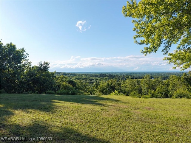 1003 Blair St, Pocola, OK 74902 - view of grassy yard featuring a forest view