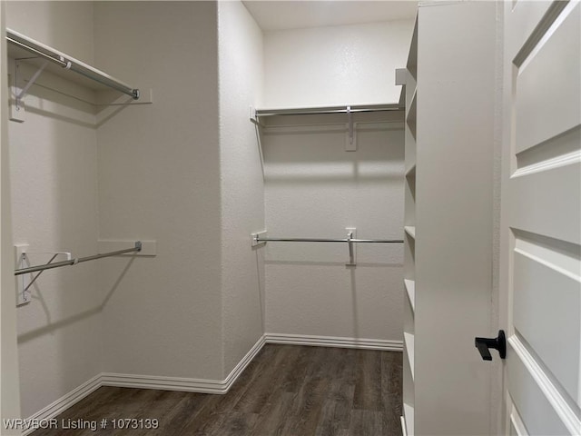 walk in closet featuring dark wood-type flooring