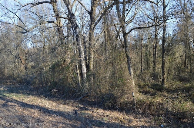 Listing photo 3 for TBD Highway 31, Bokoshe OK 74930