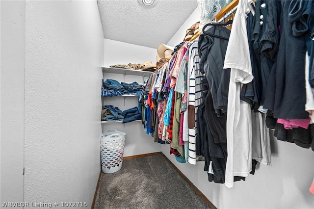 spacious closet featuring carpet flooring