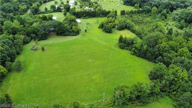 5525 Slaytonville Rd, Hackett, AR 72937 - bird's eye view