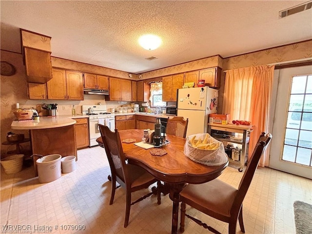 5525 Slaytonville Rd, Hackett, AR 72937 - dining area featuring light floors, plenty of natural light, and visible vents