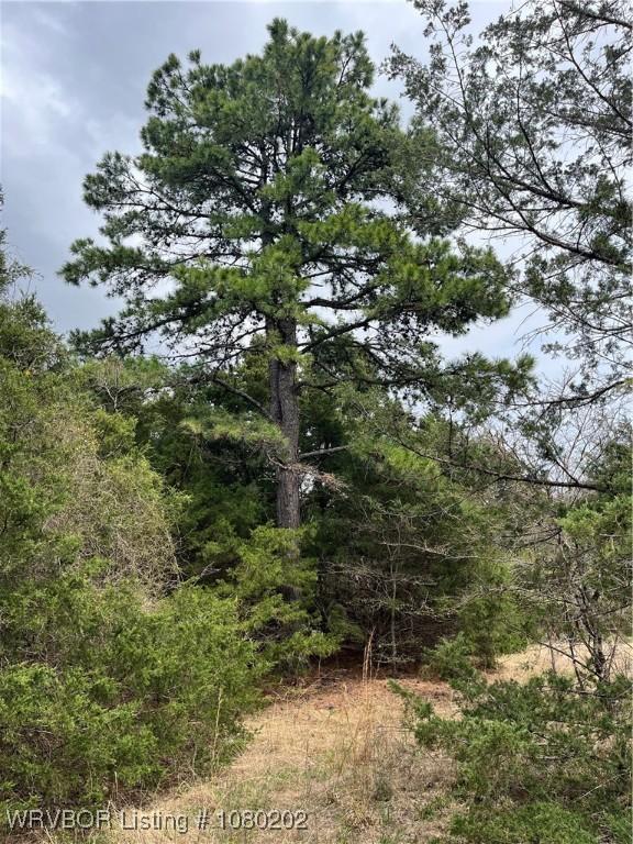 TRACT1 Station Rd, Bokoshe, OK 74930 - photo 14