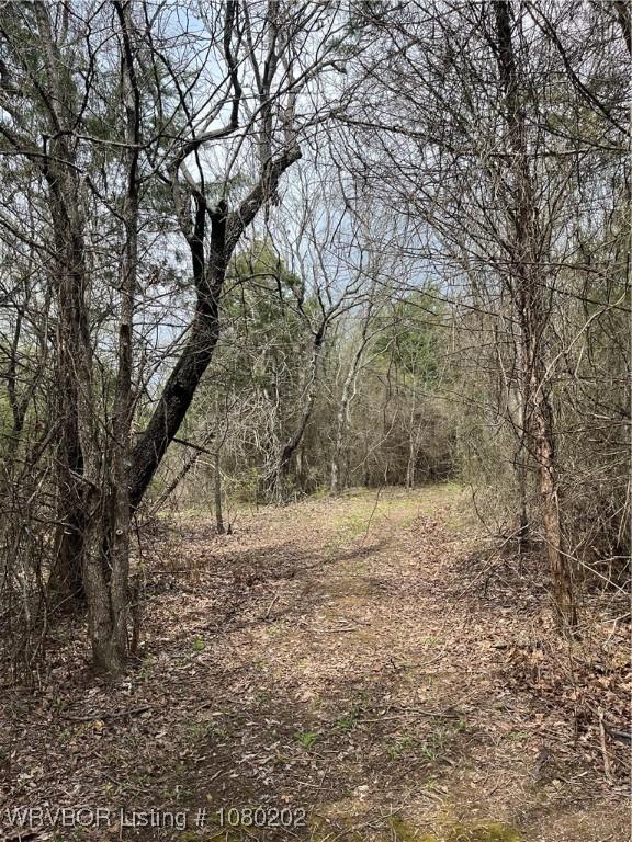 TRACT1 Station Rd, Bokoshe, OK 74930 - photo 3