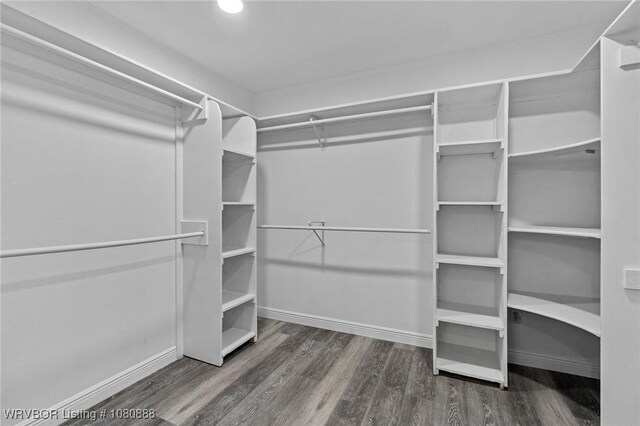 walk in closet featuring wood finished floors