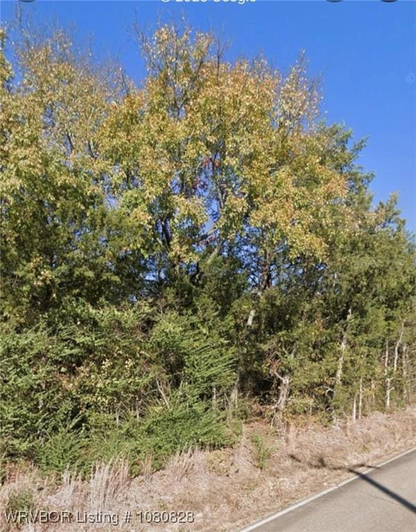 TBD Hobbtown Rd, Rudy, AR 72952