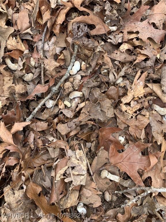 17256 Misty Woods Rd, West Fork, AR 72774