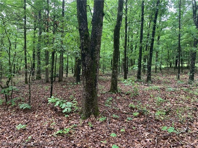 17256 Misty Woods Rd, West Fork, AR 72774