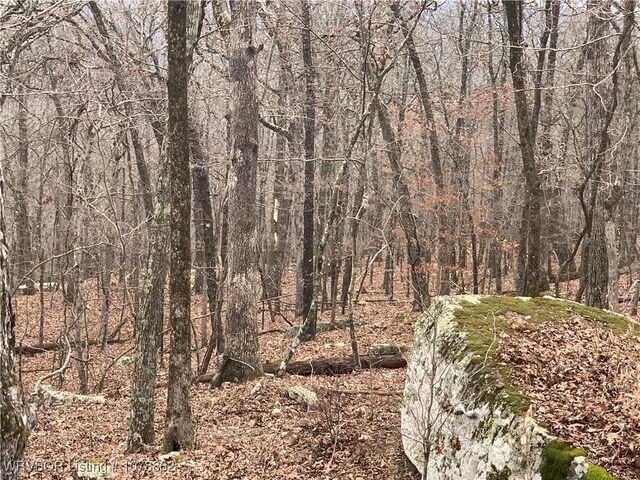 17256 Misty Woods Rd, West Fork, AR 72774