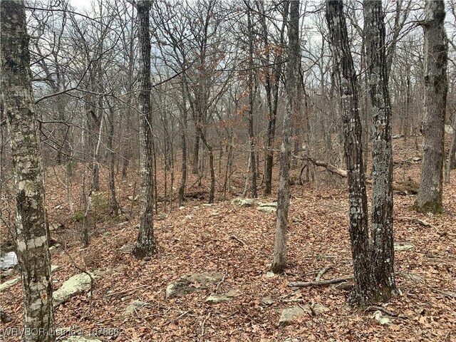 17256 Misty Woods Rd, West Fork, AR 72774