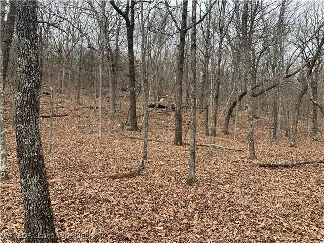 17256 Misty Woods Rd, West Fork, AR 72774