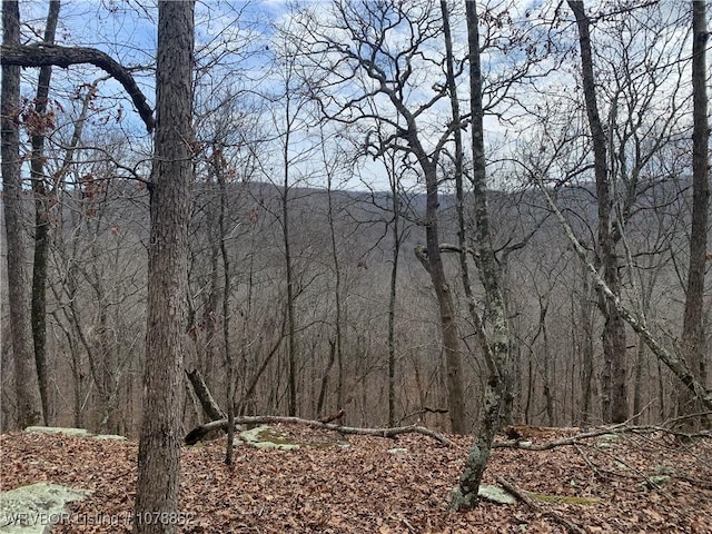 17256 Misty Woods Rd, West Fork, AR 72774