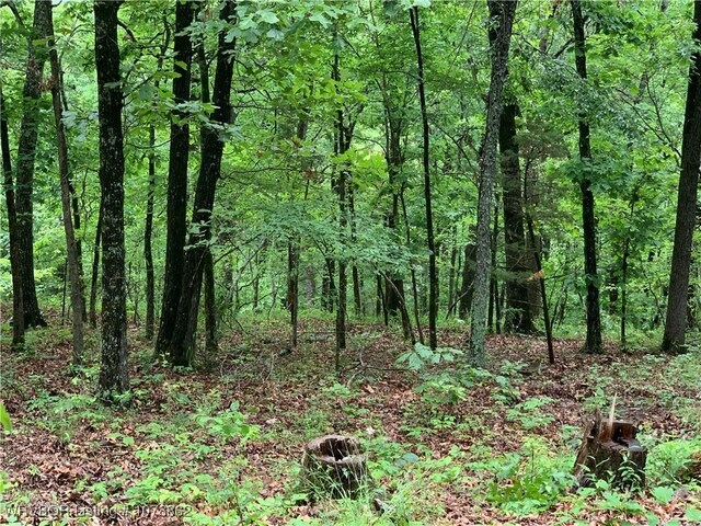 17256 Misty Woods Rd, West Fork, AR 72774