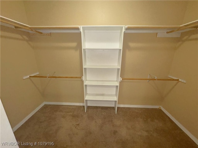 walk in closet featuring carpet floors