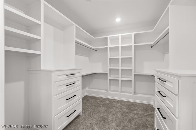 spacious closet with dark colored carpet