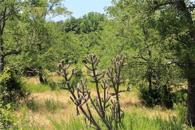 TBD Cloudy, Rattan, OK 74562