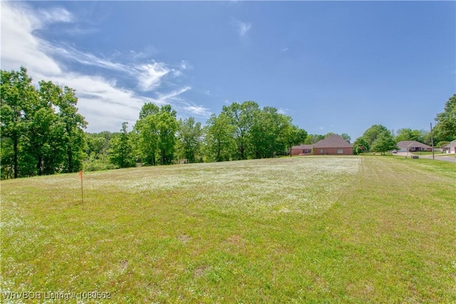 10000 Turtle Bay Dr, Fort Smith, AR 72903