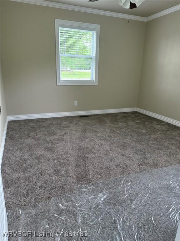 1304 S Elm St, Paris, AR 72855 - unfurnished room with ornamental molding, baseboards, carpet floors, and ceiling fan