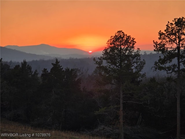 mountain view with a wooded view