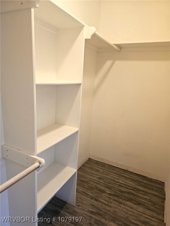 walk in closet with dark wood-type flooring