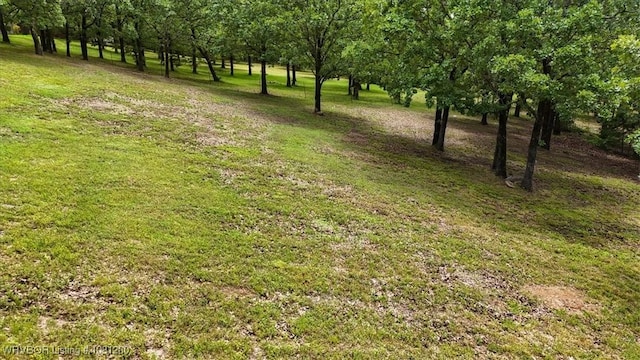 42735 Timber Ridge Rd, Howe, OK 74940 - view of green lawn