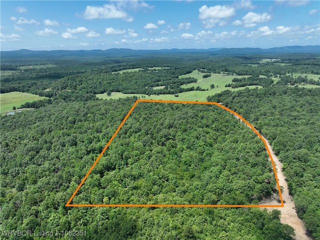 TRACT2 Hidden Creek Rd, Watson, OK 74957 - photo 1