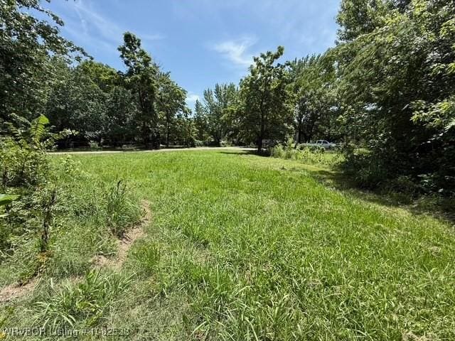 207 W 10th St, Mulberry, AR 72947 - photo 25