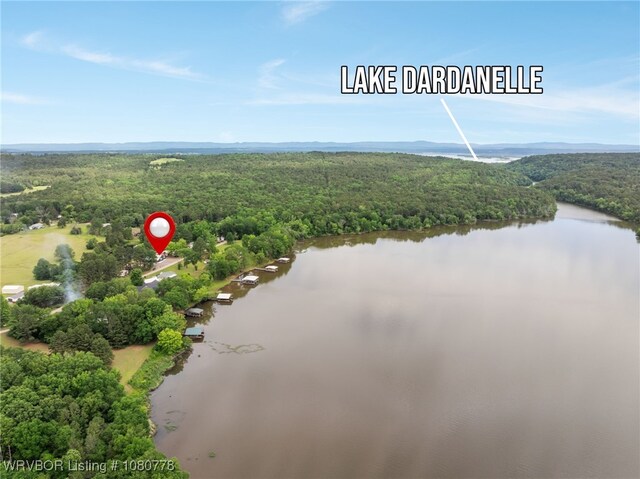465 Boyd Dr, New Blaine, AR 72851 - bird's eye view of a forest and a nearby body of water
