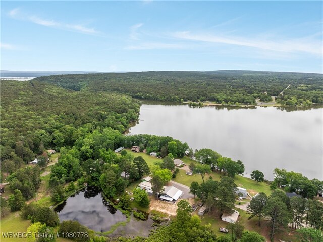 465 Boyd Dr, New Blaine, AR 72851 - drone / aerial view of a forest and a large body of water
